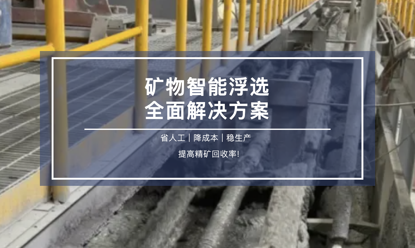 穩(wěn)定高效，降本增效，智能浮選全面解決方案！